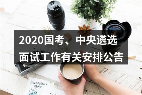 2020国考、中央遴选面试工作有关安排公告 图片