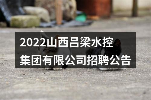 2022山西吕梁水控集团有限公司招聘公告 图片