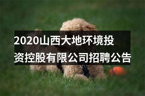 2020山西大地环境投资控股有限公司招聘公告 图片